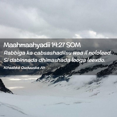 Picture 02 - Maahmaahyadii 14:27 SOM - Rabbiga ka cabsashadiisu waa il nololeed, Si - Bible Verse Picture