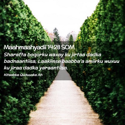 Picture 02 - Maahmaahyadii 14:28 SOM - Sharafta boqorku waxay ku jirtaa dadka - Bible Verse Picture