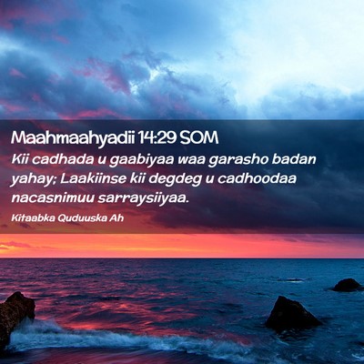 Picture 02 - Maahmaahyadii 14:29 SOM - Kii cadhada u gaabiyaa waa garasho badan yahay; - Bible Verse Picture