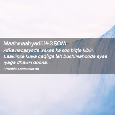 Picture 02 - Maahmaahyadii 14:3 SOM - Afka nacasyada waxaa ka soo biqla kibir; - Bible Verse Picture