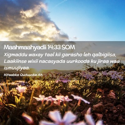 Picture 02 - Maahmaahyadii 14:33 SOM - Xigmaddu waxay taal kii garasho leh qalbigiisa, - Bible Verse Picture