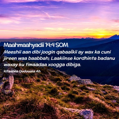 Picture 02 - Maahmaahyadii 14:4 SOM - Meeshii aan dibi joogin qabaalkii ay wax ka cuni - Bible Verse Picture