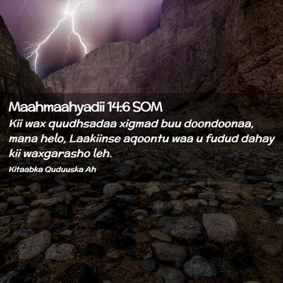 Picture 02 - Maahmaahyadii 14:6 SOM - Kii wax quudhsadaa xigmad buu doondoonaa, mana - Bible Verse Picture
