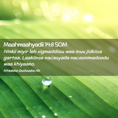 Picture 02 - Maahmaahyadii 14:8 SOM - Ninkii miyir leh xigmaddiisu waa inuu jidkiisa - Bible Verse Picture
