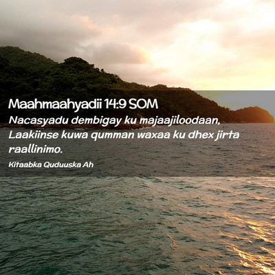 Picture 02 - Maahmaahyadii 14:9 SOM - Nacasyadu dembigay ku majaajiloodaan, Laakiinse - Bible Verse Picture
