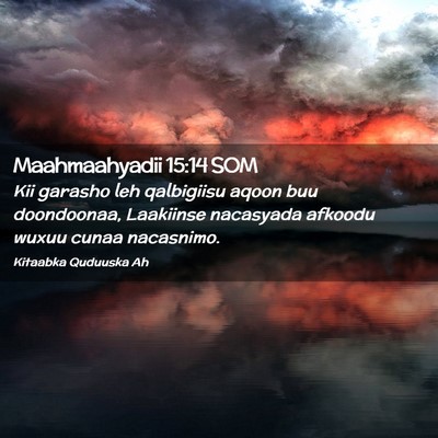 Picture 02 - Maahmaahyadii 15:14 SOM - Kii garasho leh qalbigiisu aqoon buu doondoonaa, - Bible Verse Picture
