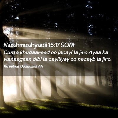 Picture 02 - Maahmaahyadii 15:17 SOM - Cunto khudaareed oo jacayl la jiro Ayaa ka - Bible Verse Picture