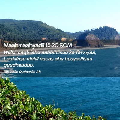 Picture 02 - Maahmaahyadii 15:20 SOM - Wiilkii caqli lahu aabbihiisuu ka farxiyaa, - Bible Verse Picture