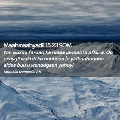 Picture 02 - Maahmaahyadii 15:23 SOM - Nin wuxuu farxad ka helaa jawaabta afkiisa, Oo - Bible Verse Picture