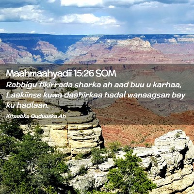Picture 02 - Maahmaahyadii 15:26 SOM - Rabbigu fikirrada sharka ah aad buu u karhaa, - Bible Verse Picture