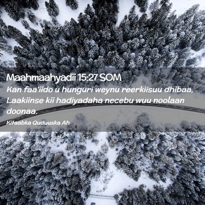 Picture 02 - Maahmaahyadii 15:27 SOM - Kan faa'iido u hunguri weynu reerkiisuu dhibaa, - Bible Verse Picture