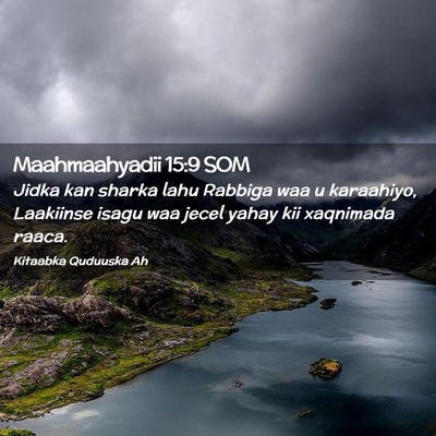 Picture 02 - Maahmaahyadii 15:9 SOM - Jidka kan sharka lahu Rabbiga waa u karaahiyo, - Bible Verse Picture