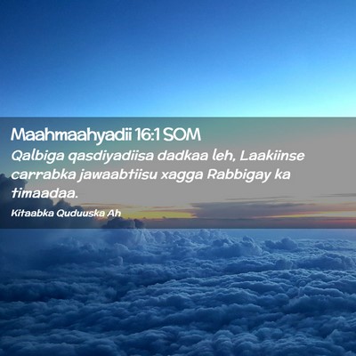 Picture 02 - Maahmaahyadii 16:1 SOM - Qalbiga qasdiyadiisa dadkaa leh, Laakiinse - Bible Verse Picture