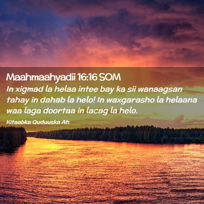 Picture 02 - Maahmaahyadii 16:16 SOM - In xigmad la helaa intee bay ka sii wanaagsan - Bible Verse Picture