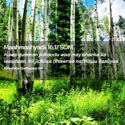 Picture 02 - Maahmaahyadii 16:17 SOM - Kuwa qumman jidkoodu waa inay sharka ka leexdaan, - Bible Verse Picture