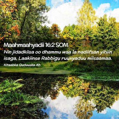 Picture 02 - Maahmaahyadii 16:2 SOM - Nin jidadkiisa oo dhammu waa la nadiifsan yihiin - Bible Verse Picture