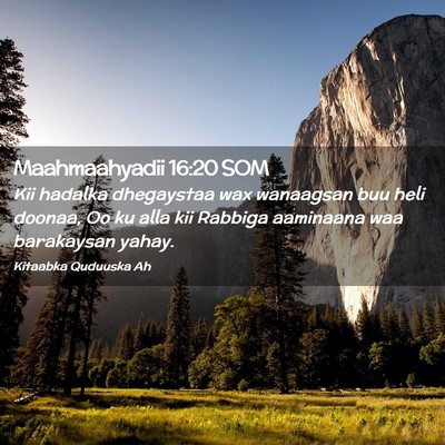 Picture 02 - Maahmaahyadii 16:20 SOM - Kii hadalka dhegaystaa wax wanaagsan buu heli - Bible Verse Picture