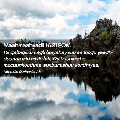 Picture 02 - Maahmaahyadii 16:21 SOM - Kii qalbigiisu caqli leeyahay waxaa loogu yeedhi - Bible Verse Picture