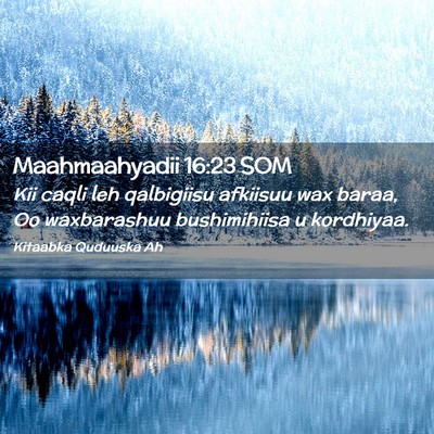 Picture 02 - Maahmaahyadii 16:23 SOM - Kii caqli leh qalbigiisu afkiisuu wax baraa, Oo - Bible Verse Picture