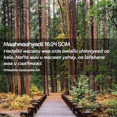 Picture 02 - Maahmaahyadii 16:24 SOM - Hadalkii wacanu waa sida awlallo shinniyeed oo - Bible Verse Picture