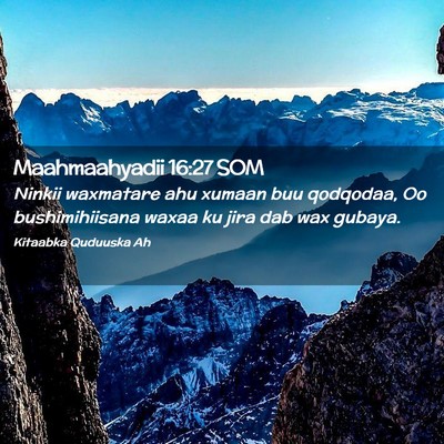Picture 02 - Maahmaahyadii 16:27 SOM - Ninkii waxmatare ahu xumaan buu qodqodaa, Oo - Bible Verse Picture