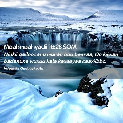 Picture 02 - Maahmaahyadii 16:28 SOM - Ninkii qalloocanu muran buu beeraa, Oo kii xan - Bible Verse Picture