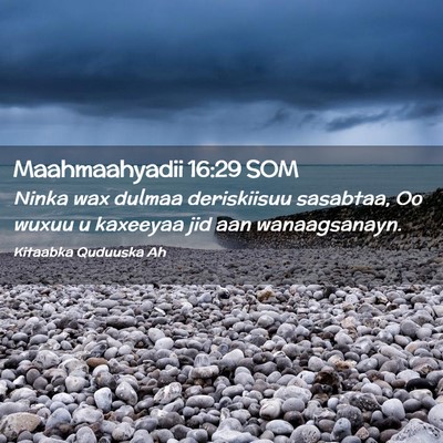 Picture 02 - Maahmaahyadii 16:29 SOM - Ninka wax dulmaa deriskiisuu sasabtaa, Oo wuxuu u - Bible Verse Picture
