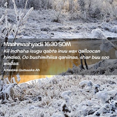 Picture 02 - Maahmaahyadii 16:30 SOM - Kii indhaha isugu qabta inuu wax qalloocan - Bible Verse Picture