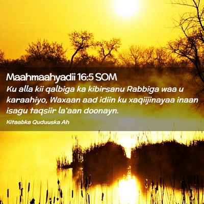 Picture 02 - Maahmaahyadii 16:5 SOM - Ku alla kii qalbiga ka kibirsanu Rabbiga waa u - Bible Verse Picture