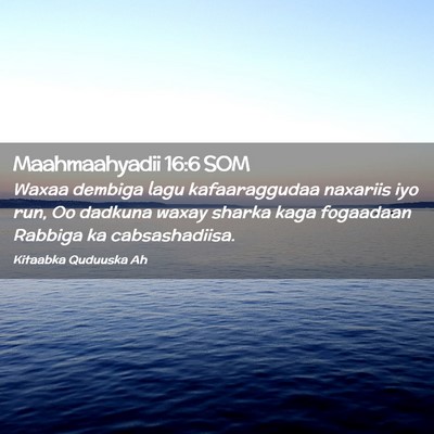Picture 02 - Maahmaahyadii 16:6 SOM - Waxaa dembiga lagu kafaaraggudaa naxariis iyo - Bible Verse Picture