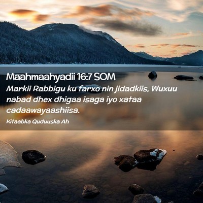 Picture 02 - Maahmaahyadii 16:7 SOM - Markii Rabbigu ku farxo nin jidadkiis, Wuxuu - Bible Verse Picture