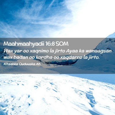 Picture 02 - Maahmaahyadii 16:8 SOM - Wax yar oo xaqnimo la jirto Ayaa ka wanaagsan wax - Bible Verse Picture