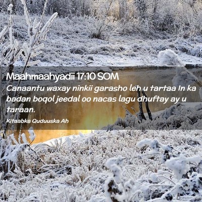 Picture 02 - Maahmaahyadii 17:10 SOM - Canaantu waxay ninkii garasho leh u tartaa In ka - Bible Verse Picture