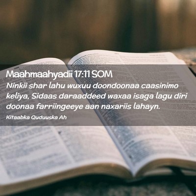 Picture 02 - Maahmaahyadii 17:11 SOM - Ninkii shar lahu wuxuu doondoonaa caasinimo - Bible Verse Picture