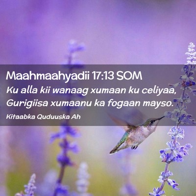 Picture 02 - Maahmaahyadii 17:13 SOM - Ku alla kii wanaag xumaan ku celiyaa, Gurigiisa - Bible Verse Picture