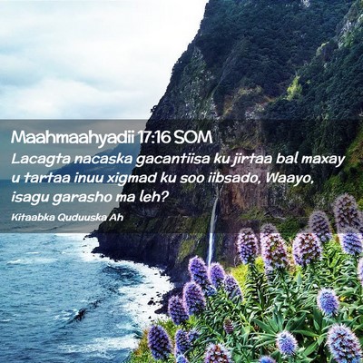 Picture 02 - Maahmaahyadii 17:16 SOM - Lacagta nacaska gacantiisa ku jirtaa bal maxay u - Bible Verse Picture