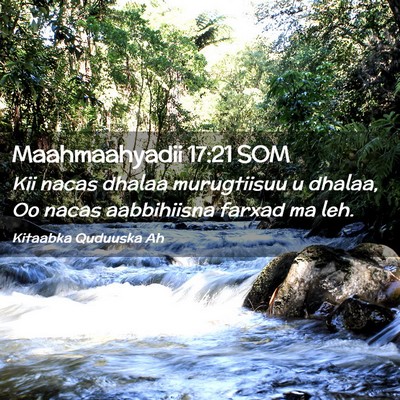 Picture 02 - Maahmaahyadii 17:21 SOM - Kii nacas dhalaa murugtiisuu u dhalaa, Oo nacas - Bible Verse Picture