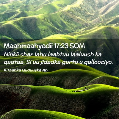 Picture 02 - Maahmaahyadii 17:23 SOM - Ninkii shar lahu laabtuu laaluush ka qaataa, Si - Bible Verse Picture