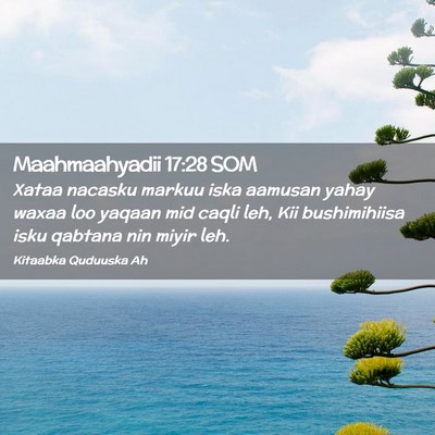 Picture 02 - Maahmaahyadii 17:28 SOM - Xataa nacasku markuu iska aamusan yahay waxaa loo - Bible Verse Picture