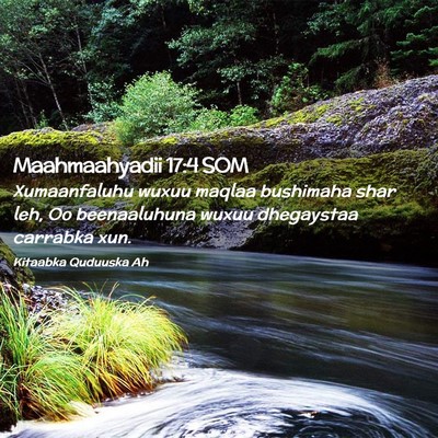 Picture 02 - Maahmaahyadii 17:4 SOM - Xumaanfaluhu wuxuu maqlaa bushimaha shar leh, Oo - Bible Verse Picture