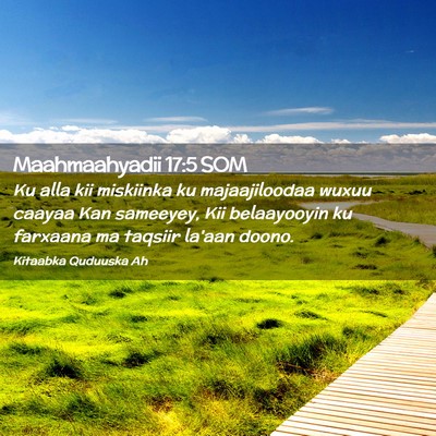 Picture 02 - Maahmaahyadii 17:5 SOM - Ku alla kii miskiinka ku majaajiloodaa wuxuu - Bible Verse Picture