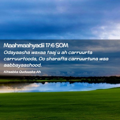 Picture 02 - Maahmaahyadii 17:6 SOM - Odayaasha waxaa taaj u ah carruurta carruurtooda, - Bible Verse Picture