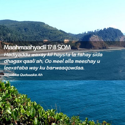 Picture 02 - Maahmaahyadii 17:8 SOM - Hadiyaddu waxay kii haysta la tahay sida dhagax - Bible Verse Picture
