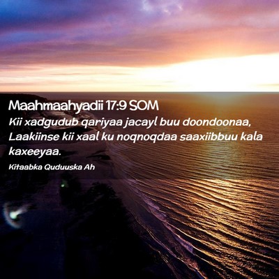 Picture 02 - Maahmaahyadii 17:9 SOM - Kii xadgudub qariyaa jacayl buu doondoonaa, - Bible Verse Picture