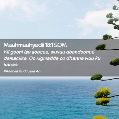 Picture 02 - Maahmaahyadii 18:1 SOM - Kii gooni isu soocaa, wuxuu doondoonaa damaciisa, - Bible Verse Picture