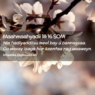 Picture 02 - Maahmaahyadii 18:16 SOM - Nin hadiyaddiisu meel bay u bannaysaa. Oo waxay - Bible Verse Picture