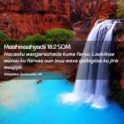 Picture 02 - Maahmaahyadii 18:2 SOM - Nacasku waxgarashada kuma farxo, Laakiinse wuxuu - Bible Verse Picture