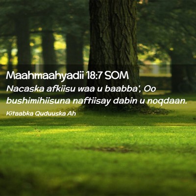 Picture 02 - Maahmaahyadii 18:7 SOM - Nacaska afkiisu waa u baabba', Oo bushimihiisuna - Bible Verse Picture