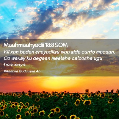 Picture 02 - Maahmaahyadii 18:8 SOM - Kii xan badan erayadiisu waa sida cunto macaan, - Bible Verse Picture
