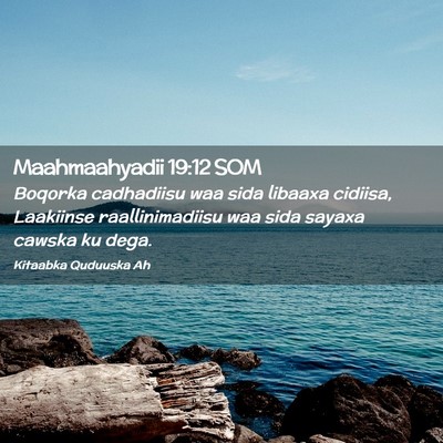 Picture 02 - Maahmaahyadii 19:12 SOM - Boqorka cadhadiisu waa sida libaaxa cidiisa, - Bible Verse Picture